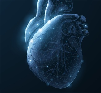 Area Cardiometabolica