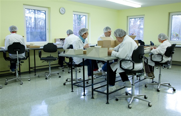 Il lavoro è inclusione: il Dipartimento di Impresa Sociale 0