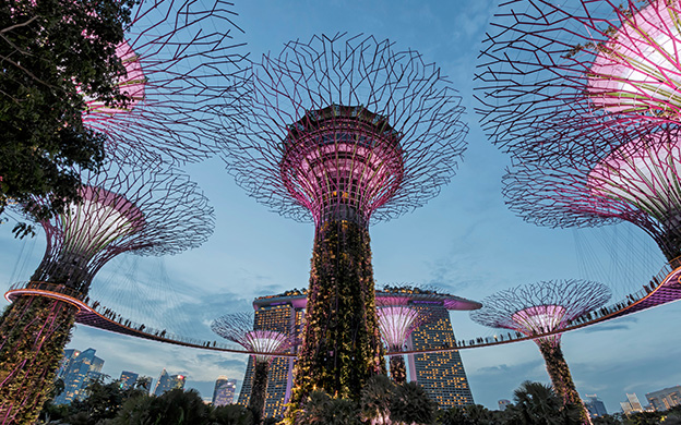 menarini singapore