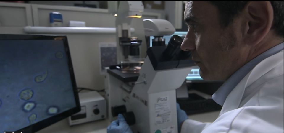 Menarini, nuovi investimenti per la ricerca oncologica
